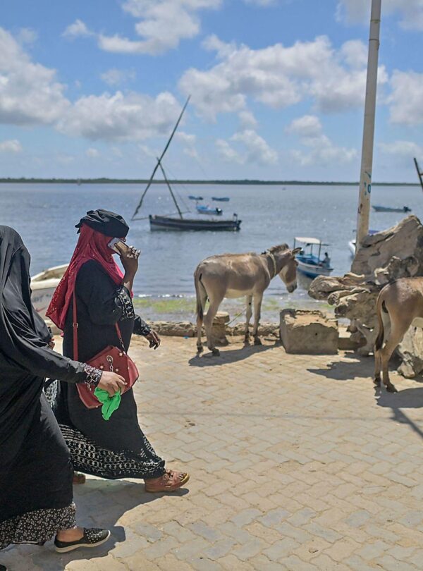 Lamu 11