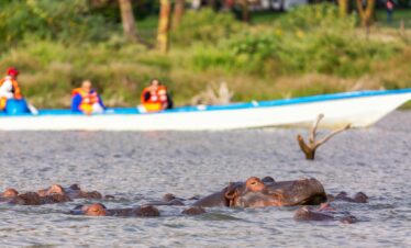Naivasha Festive Self Drive Deals